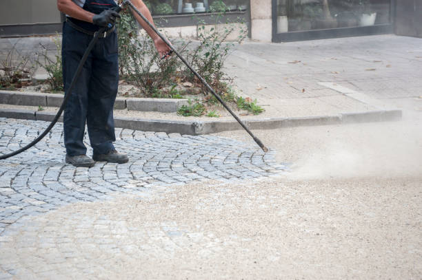 Best Pre-Holiday Cleaning  in Oakwood, IL